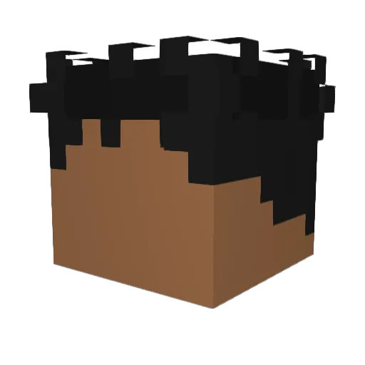 peyoy Minecraft avatar head, 3D render