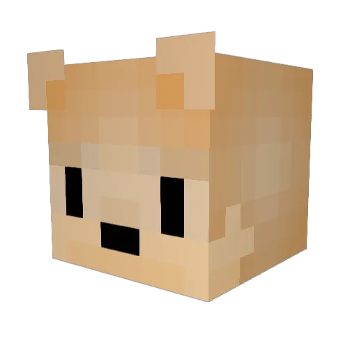 peypey215 Minecraft avatar head, 3D render