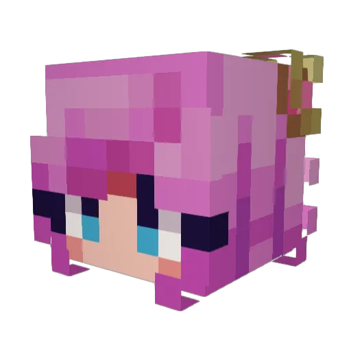 peysway Minecraft avatar head, 3D render