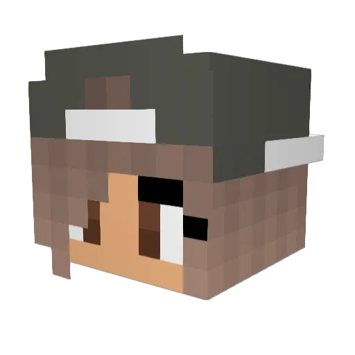 peytoncraig4 Minecraft avatar head, 3D render