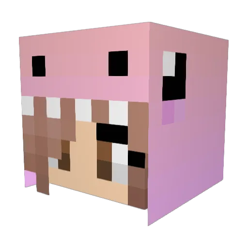peytong26 Minecraft avatar head, 3D render
