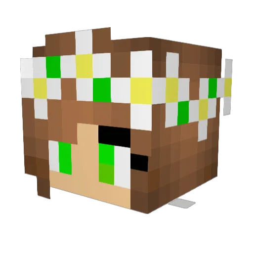 pezza54 Minecraft avatar head, 3D render