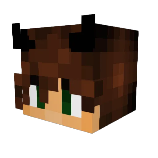 pf_fp Minecraft avatar head, 3D render