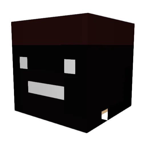 pfaffi18 Minecraft avatar head, 3D render