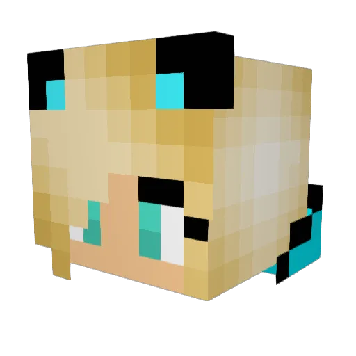 pferdefan02 Minecraft avatar head, 3D render