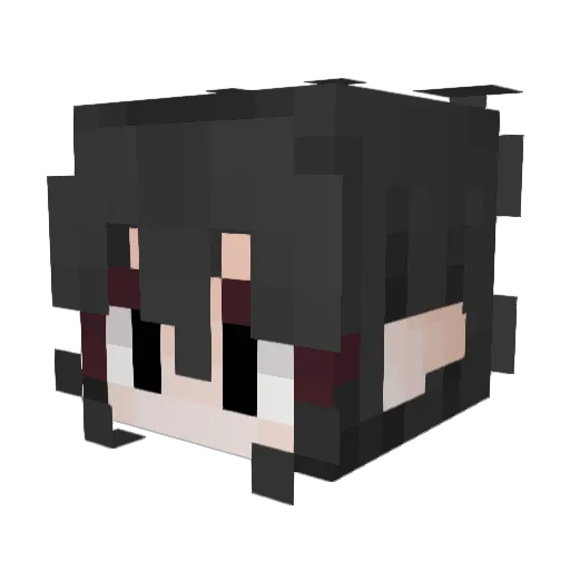 pfuni Minecraft avatar head, 3D render