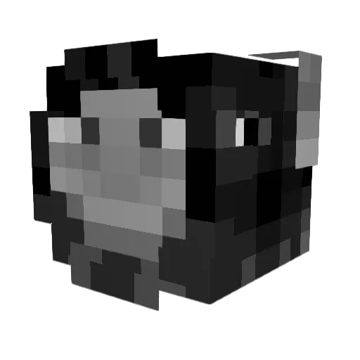 pg_paul Minecraft avatar head, 3D render