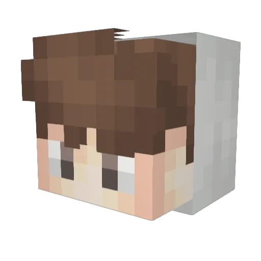 pgamer11 Minecraft avatar head, 3D render