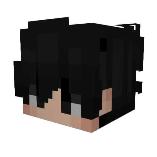 pgcampsyeeaa Minecraft avatar head, 3D render