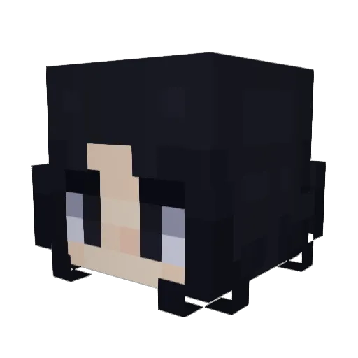 pgm128 Minecraft avatar head, 3D render