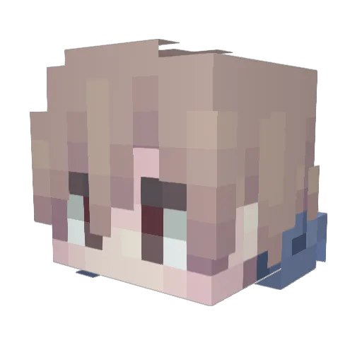 pgn3 Minecraft avatar head, 3D render