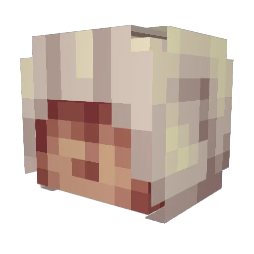 pgw77 Minecraft avatar head, 3D render