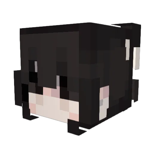 ph00enix Minecraft avatar head, 3D render