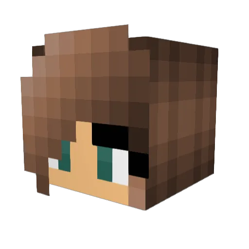 ph0t0graph Minecraft avatar head, 3D render