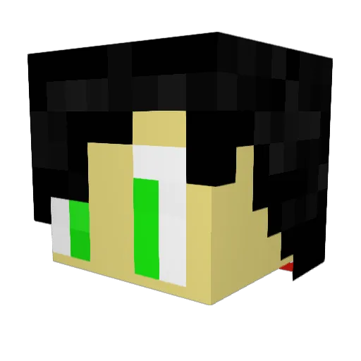 ph_ewi Minecraft avatar head, 3D render