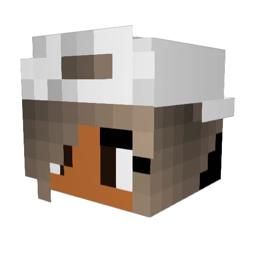 phagogenesis Minecraft avatar head, 3D render