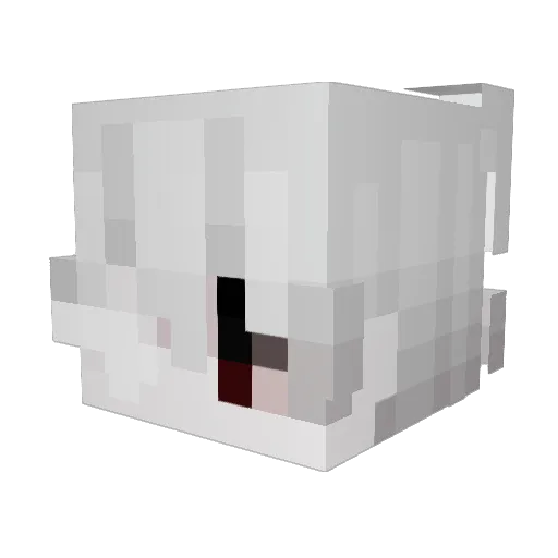 phanntm Minecraft avatar head, 3D render