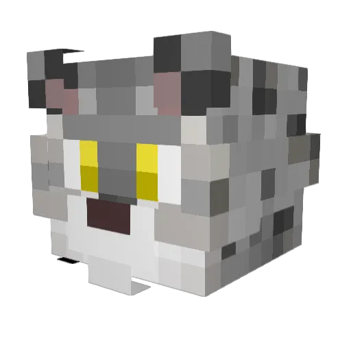 phantom078 Minecraft avatar head, 3D render