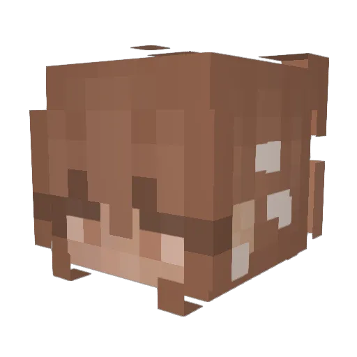 phantom_firefly Minecraft avatar head, 3D render