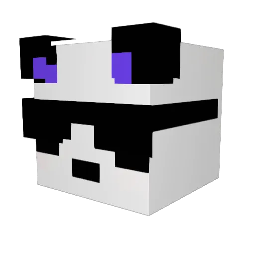 phantomgamer147 Minecraft avatar head, 3D render