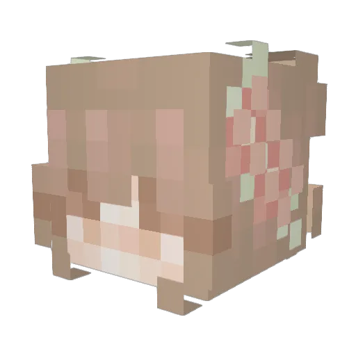 phantomm06 Minecraft avatar head, 3D render