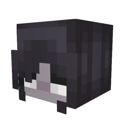 phantomm0 Minecraft avatar head, 3D render