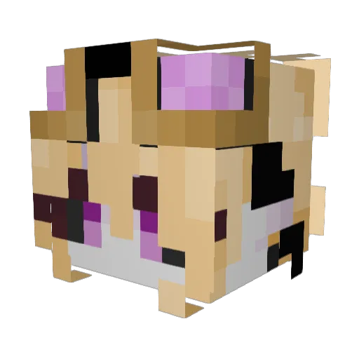 phantomwolf32108 Minecraft avatar head, 3D render
