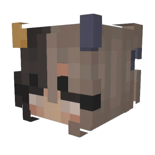 pharmaceuticalss Minecraft avatar head, 3D render