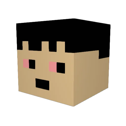 pharmagirl Minecraft avatar head, 3D render