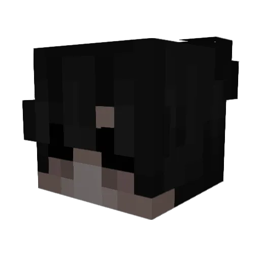 phasal Minecraft avatar head, 3D render