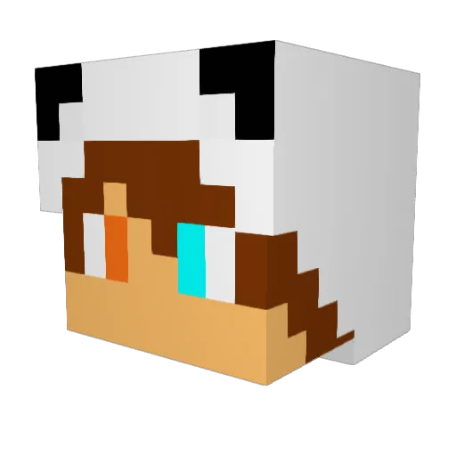 phasu1243 Minecraft avatar head, 3D render