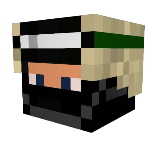 phbob24 Minecraft avatar head, 3D render