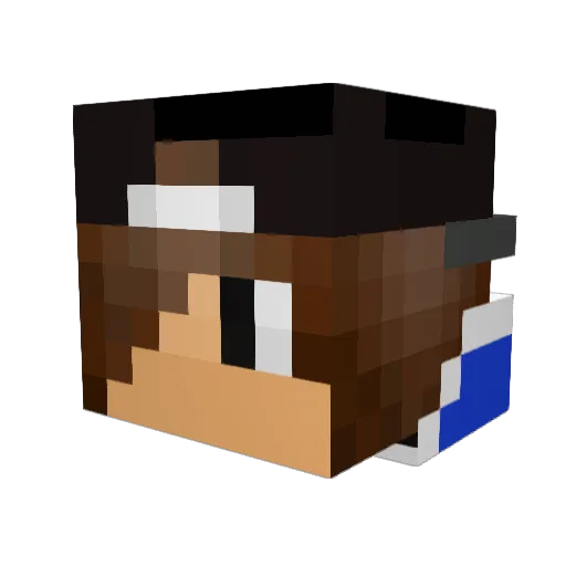 phcs2003_2013 Minecraft avatar head, 3D render