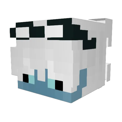phdinhomework Minecraft avatar head, 3D render