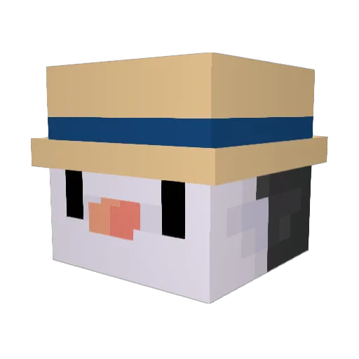 phebeo Minecraft avatar head, 3D render