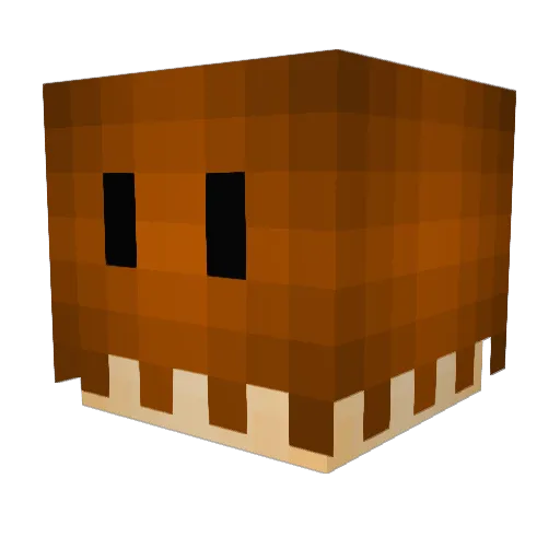 phenob Minecraft avatar head, 3D render