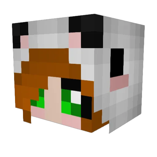 phenozia Minecraft avatar head, 3D render