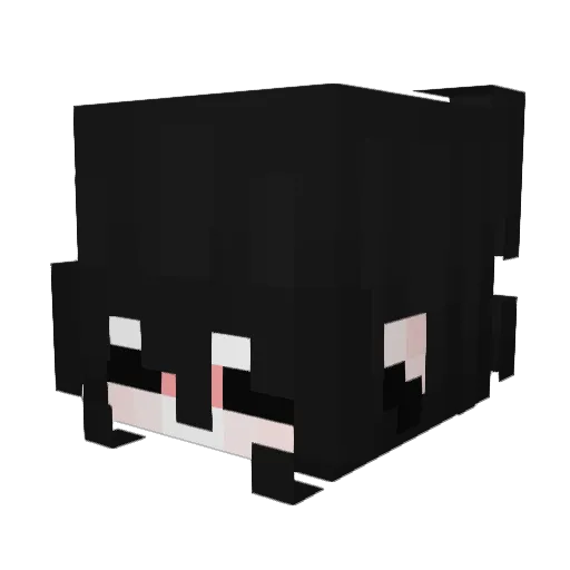 phenspuke Minecraft avatar head, 3D render
