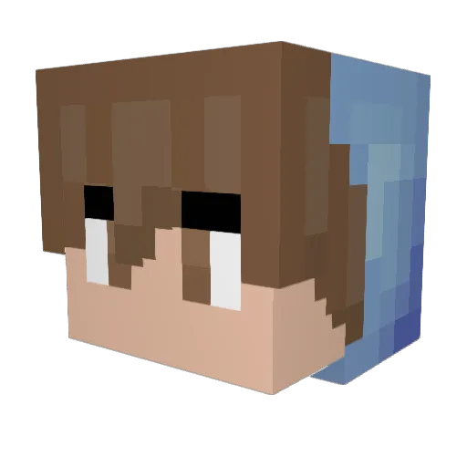 pheonix291 Minecraft avatar head, 3D render