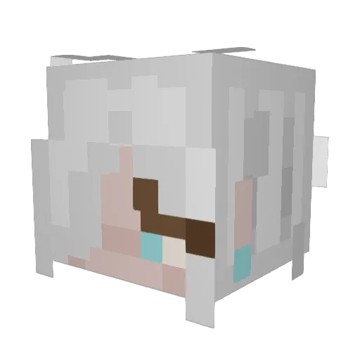 pheonix345 Minecraft avatar head, 3D render