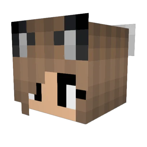 pheonix8 Minecraft avatar head, 3D render
