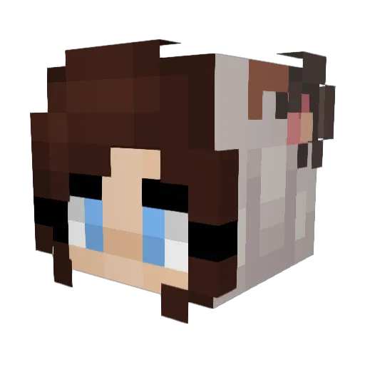 pheonixdoggie Minecraft avatar head, 3D render