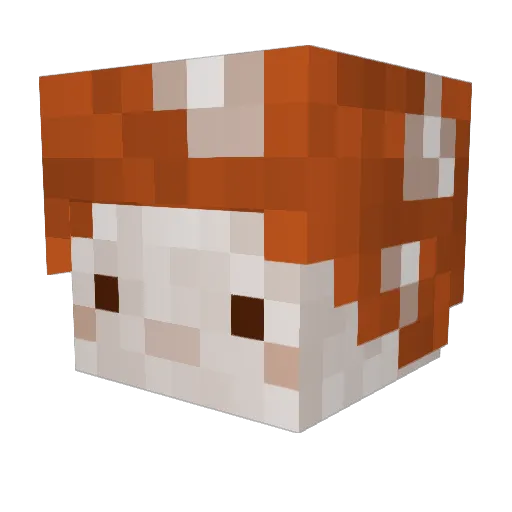 phesym Minecraft avatar head, 3D render