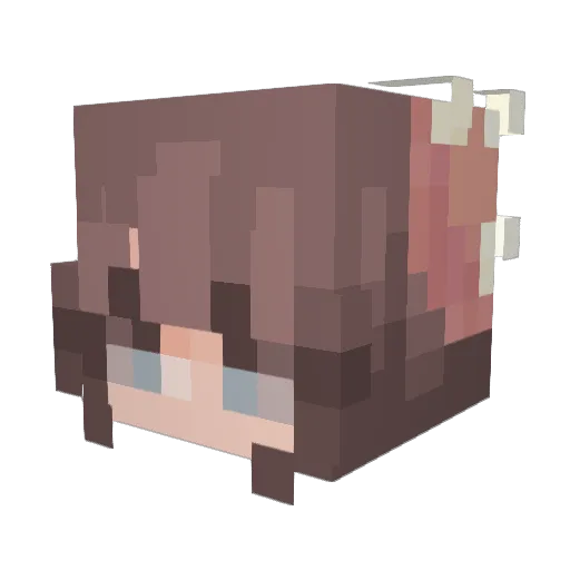 phewwwwww Minecraft avatar head, 3D render