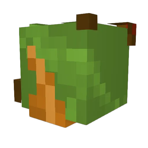 phi1016 Minecraft avatar head, 3D render