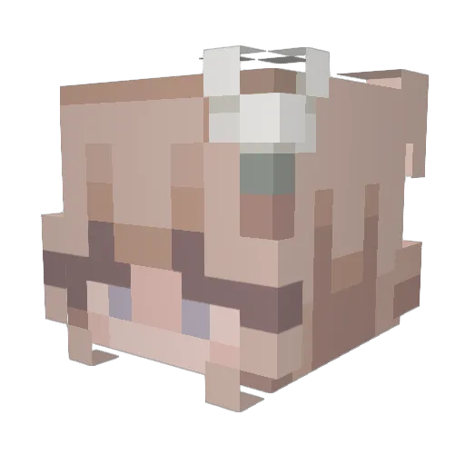 phi_11415 Minecraft avatar head, 3D render