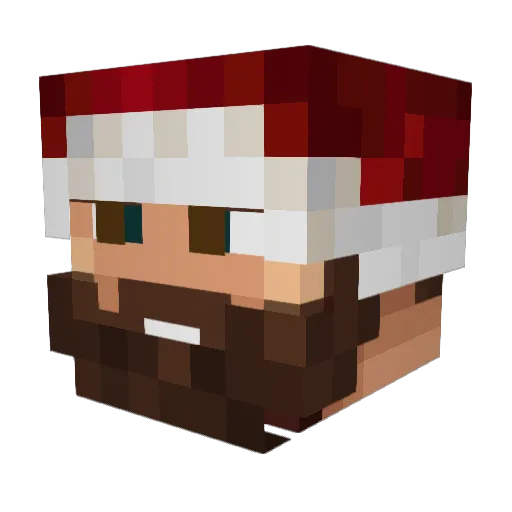 phida31 Minecraft avatar head, 3D render