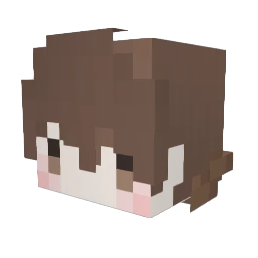 phiil Minecraft avatar head, 3D render