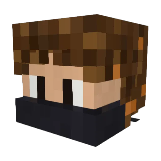 phil1011 Minecraft avatar head, 3D render