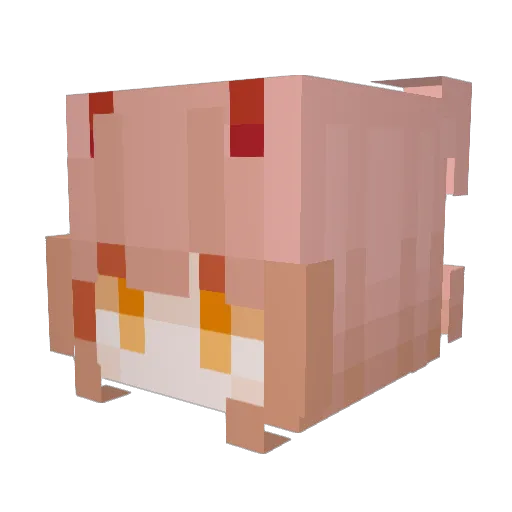 philZeraa Minecraft avatar head, 3D render